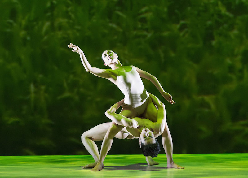 A male dancer extends backwards underneath his partner's legs while holding on to her hips